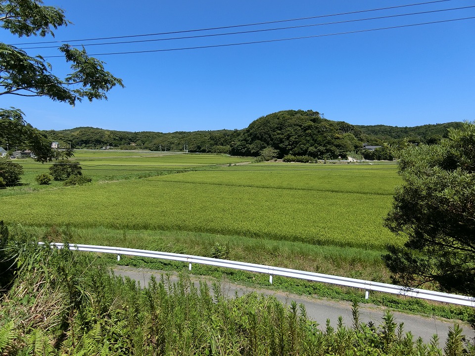プレハブ小屋付売山林　館山市竹原（たけわら）　2466.04㎡（745.97坪）　980万円 サムネイル画像2