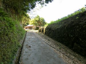 館山市竹原の山林販売、しっかりと整備されてます