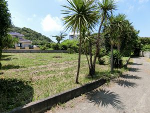 館山市波左間、海岸近くの広い土地、敷地へと入っていきます