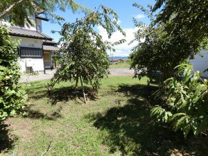 館山市浜田の中古戸建て、植栽はお好みで