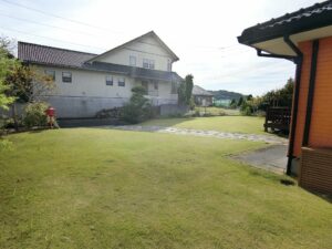 北側から見る庭