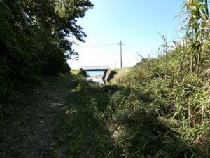 海への道路