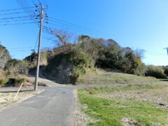 館山市安東の山林全景