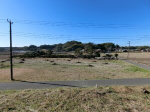 下段から見た景色