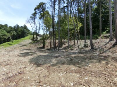 売山林 鴨川市田原西 6962㎡（2106坪） 8800 サムネイル画像1