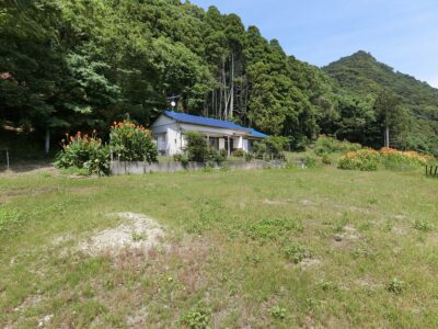 古家付広大売地 鴨川市東町 4785㎡（1447.46坪） 2980 サムネイル画像1