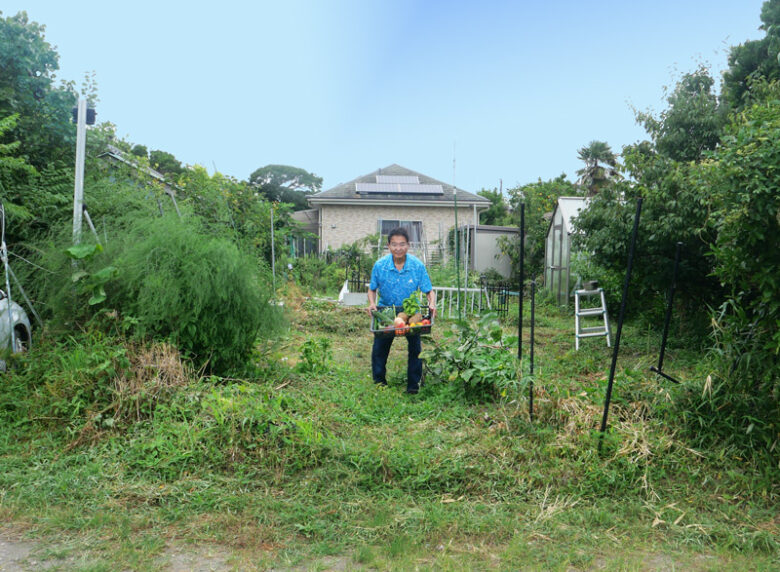 食べきれないほどの野菜と果物