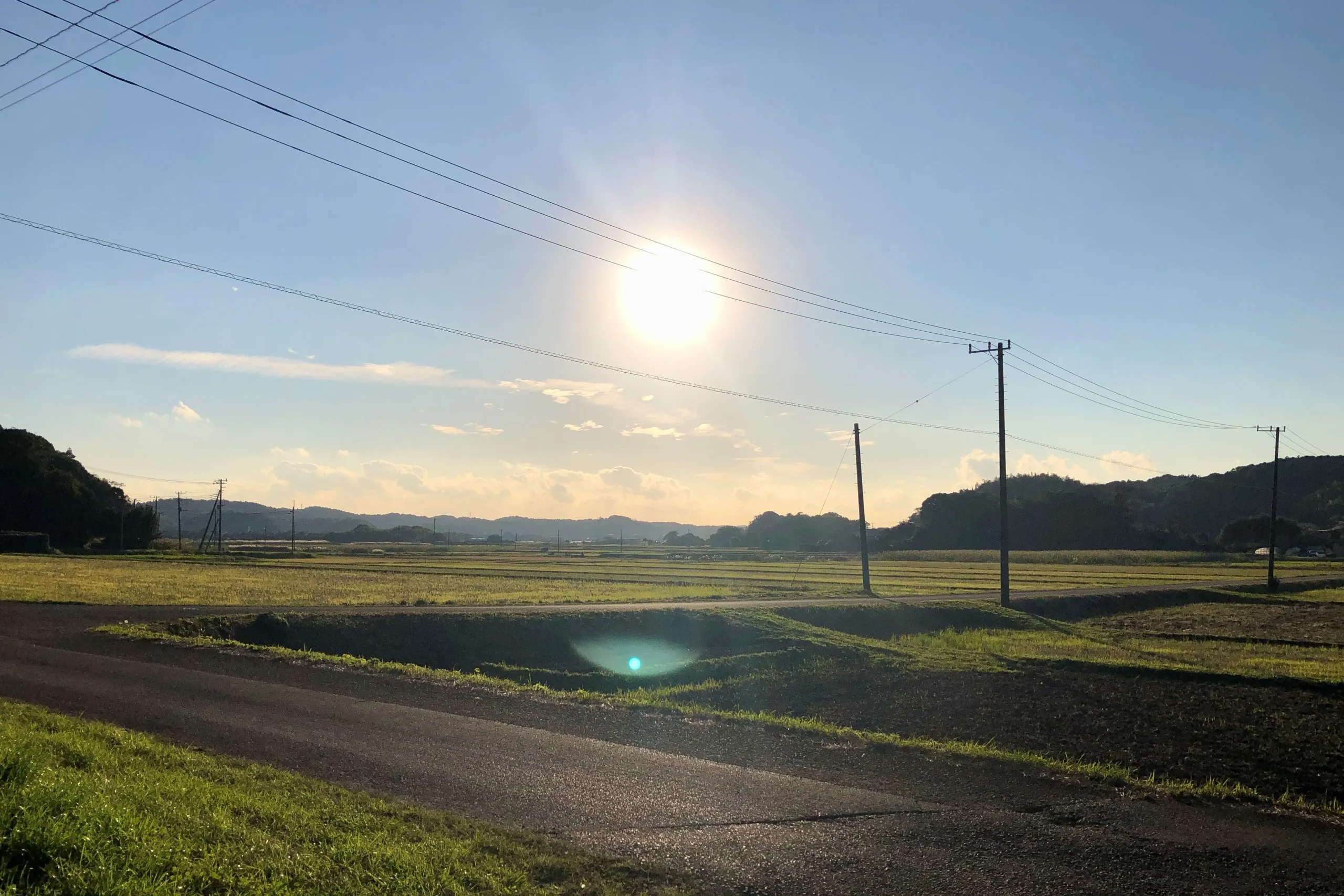 【自宅前の景色。田畑が広がる】