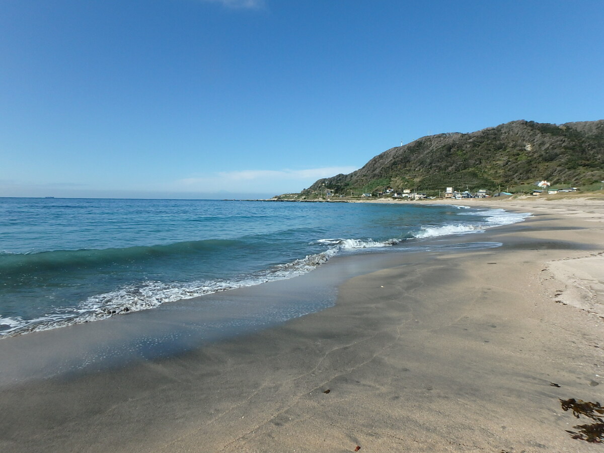 海浜売地　南房総市白浜町根本　385.86㎡（116.72坪）　450万円 サムネイル画像2