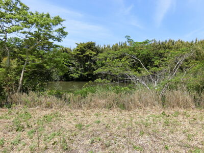 池畔売地 館山市加賀名 379.46㎡（114.78坪） 500 サムネイル画像1