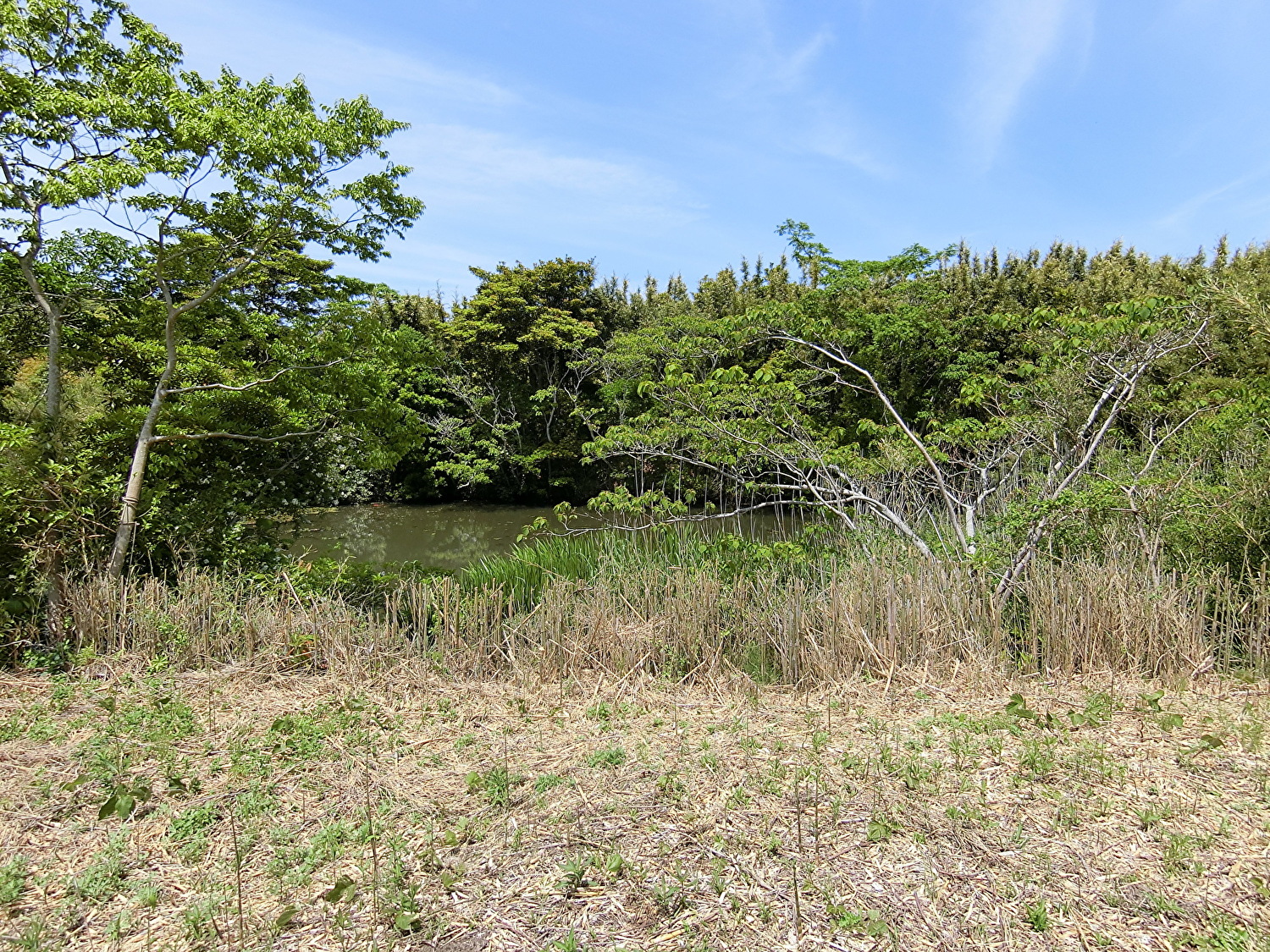 池畔売地　館山市加賀名　379.46㎡（114.78坪）　350万円 サムネイル画像1