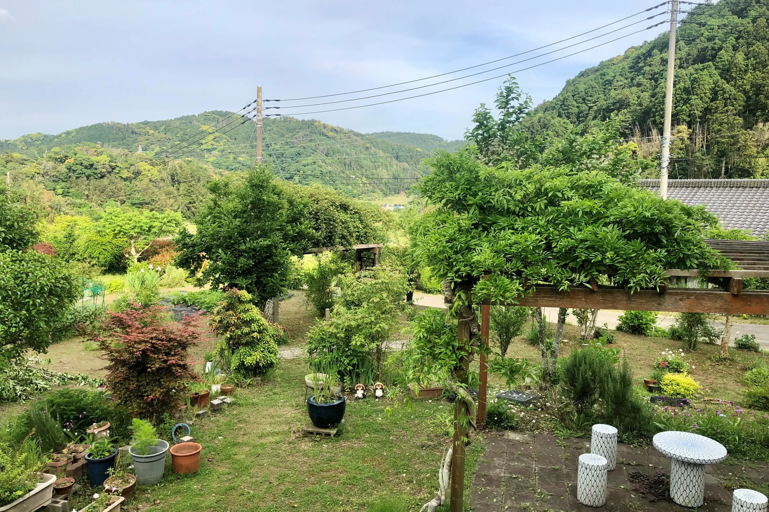 【広いお庭】