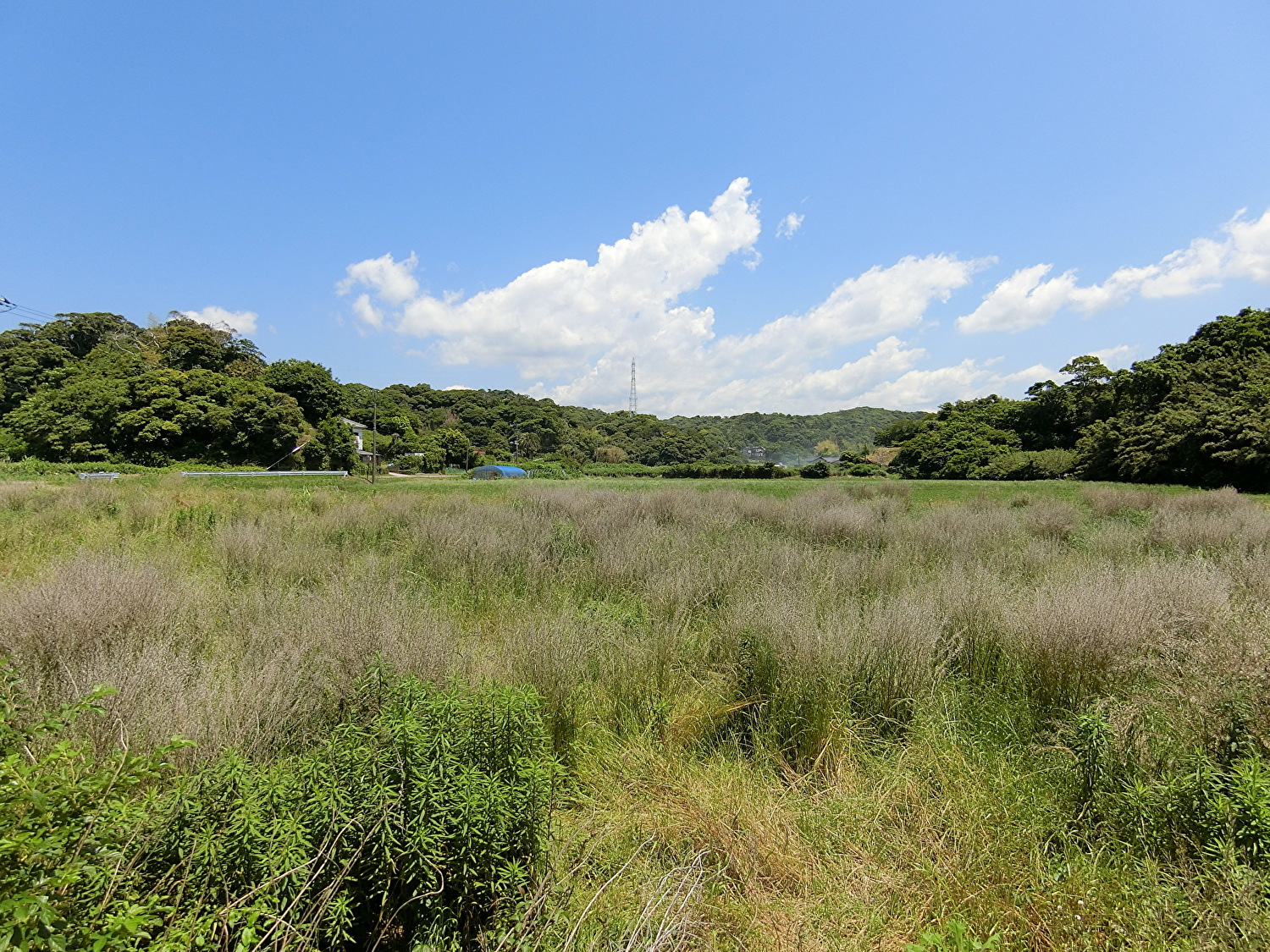 売地　館山市正木　292㎡（88.33坪）　300万円 サムネイル画像2