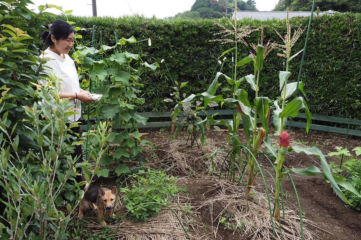 【念願の家庭菜園と、迎え入れたころの源】