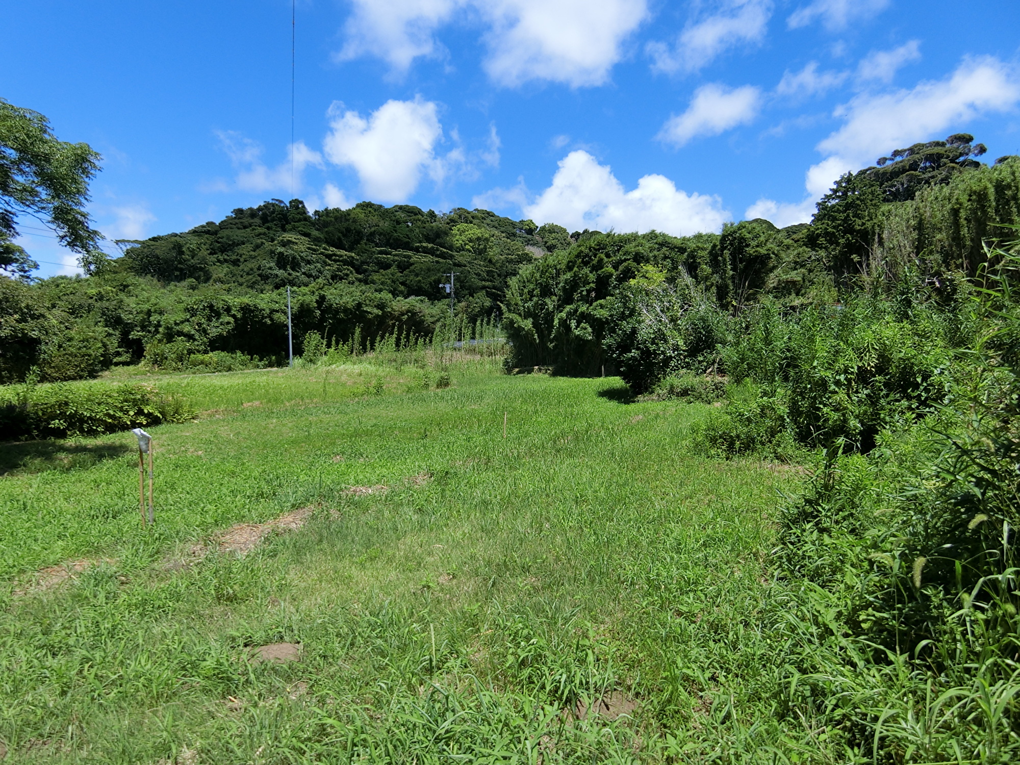 古倉庫付売地　南房総市千倉町川合　600㎡（181.5坪）　290万円 サムネイル画像2