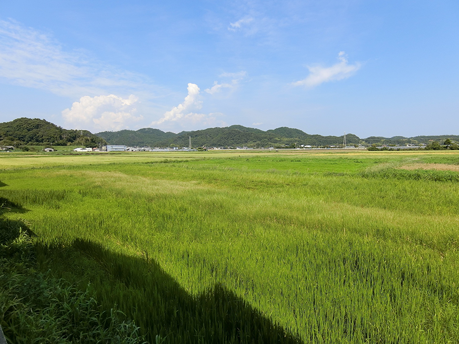 売家　南房総市三坂　3LDK　ご成約済 サムネイル画像2