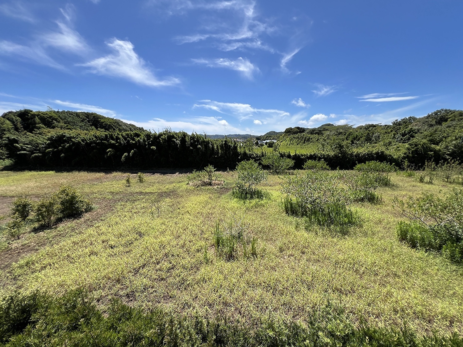 売家　南房総市千倉町瀬戸　5DK　ご成約済 サムネイル画像2