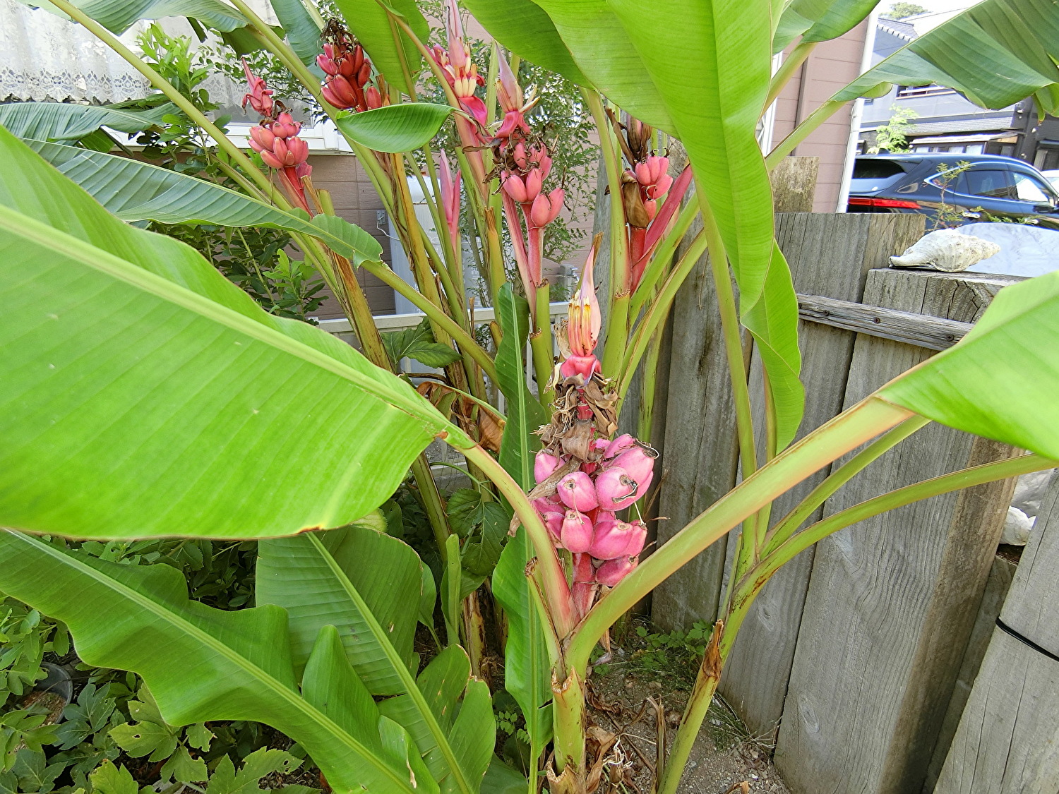 売家　館山市那古　4LDK　ご成約済 サムネイル画像2
