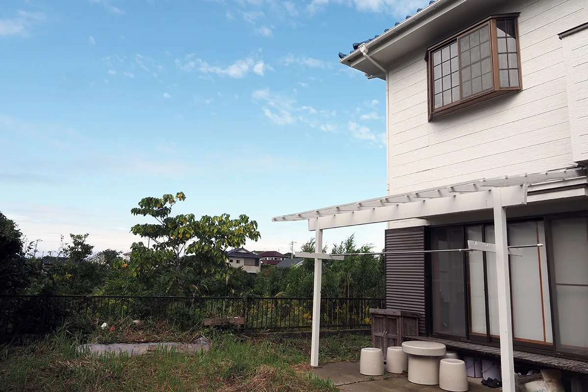 【夢が広がる手つかずの庭】