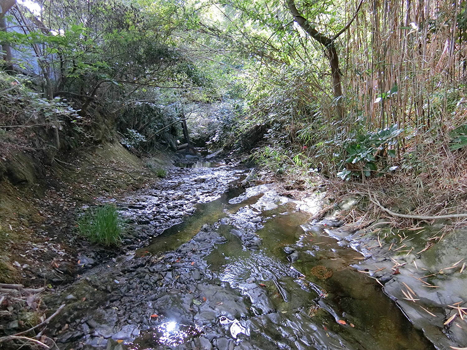 川沿い築浅売家　安房郡鋸南町市井原　2SLDK＋1DK離れ　4950万円 サムネイル画像2