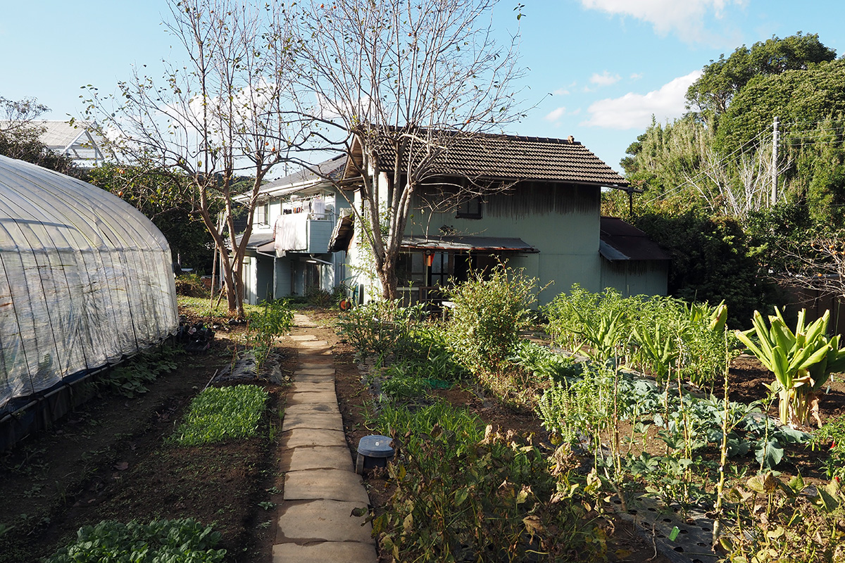 【畑から眺めると、納屋の奥に母屋がある】