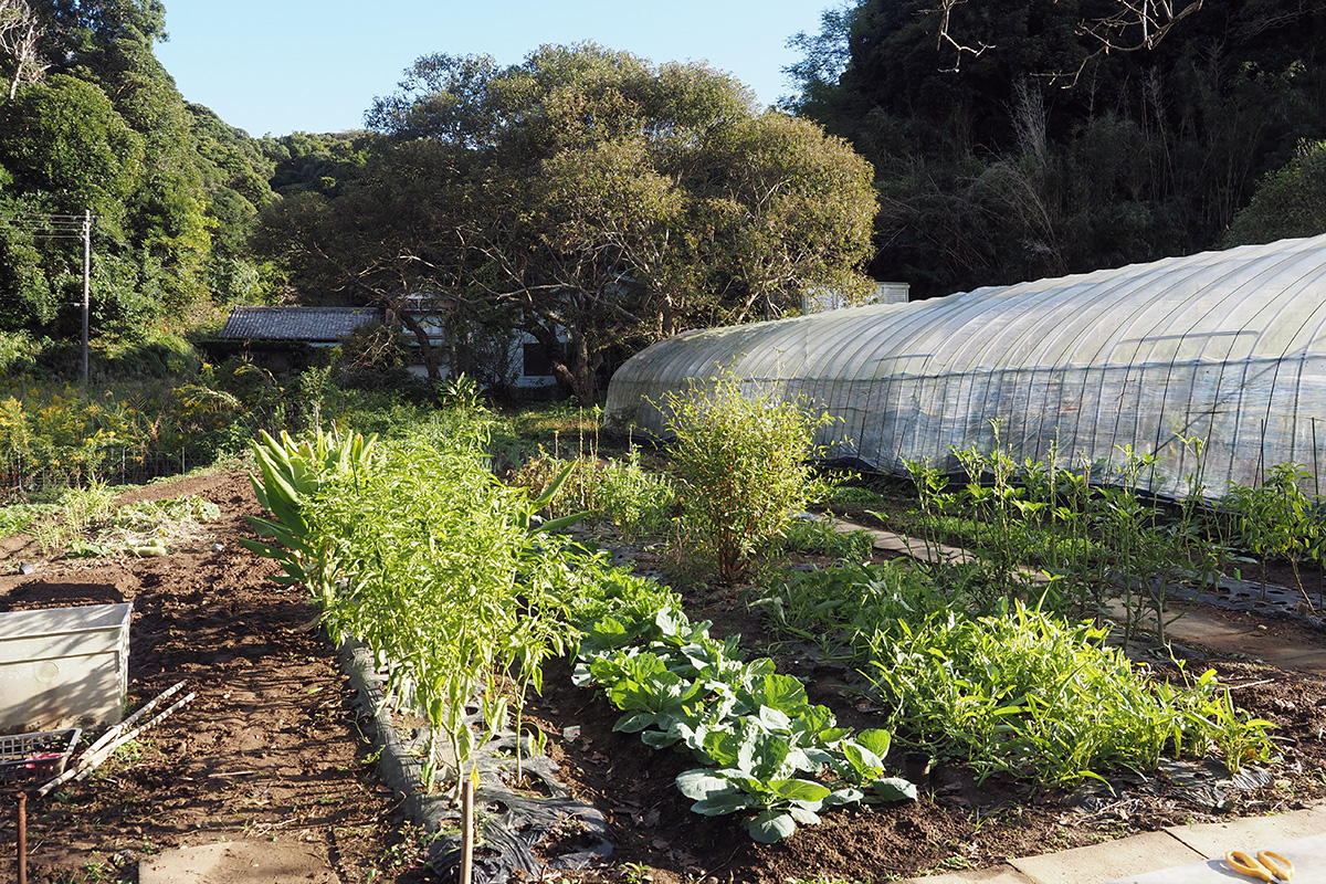 【手入れの行き届いた畑】