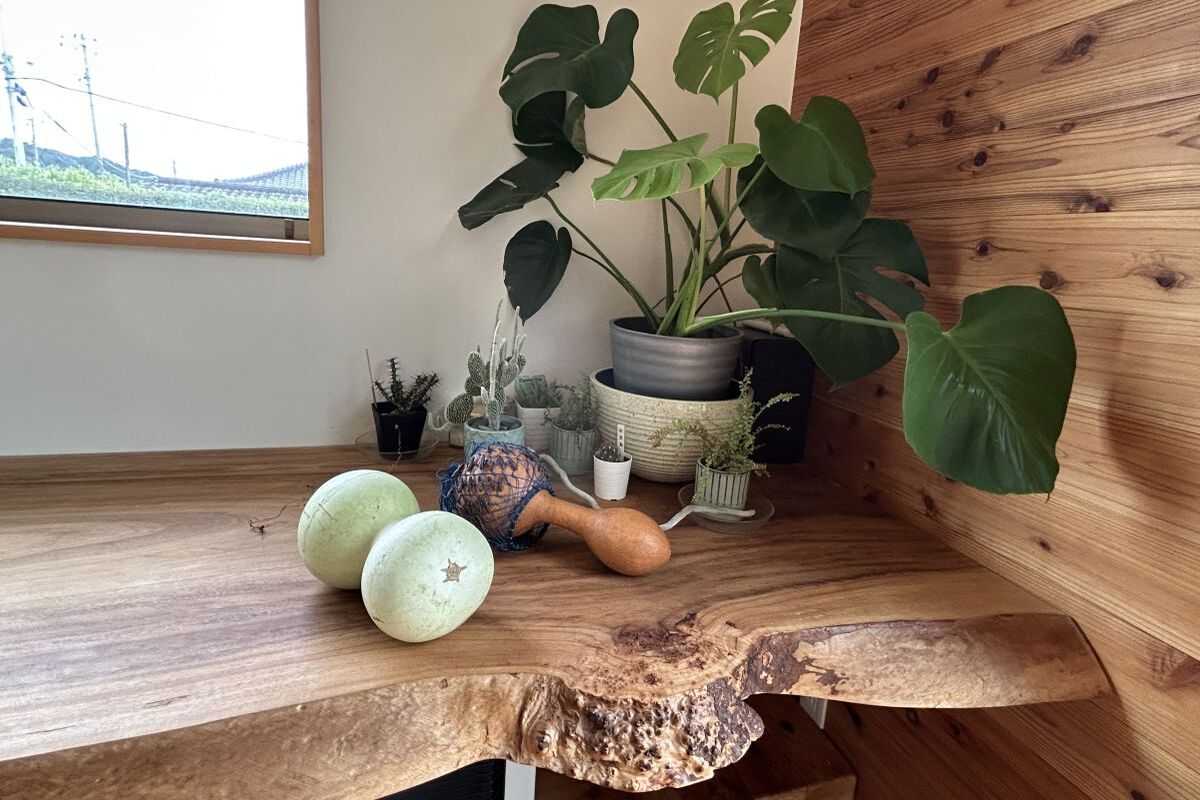 【一枚板のカウンターの上にも自然からのいただきもの】