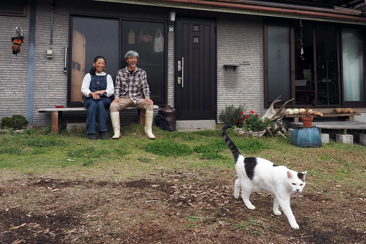 【出迎えてくれた猫】