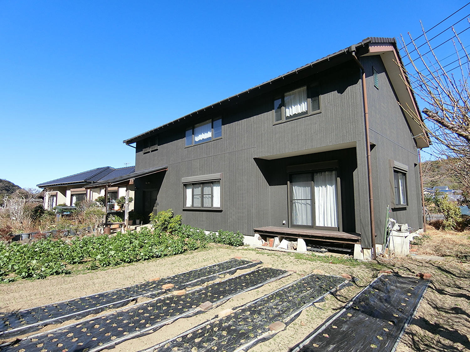 サムネイル画像