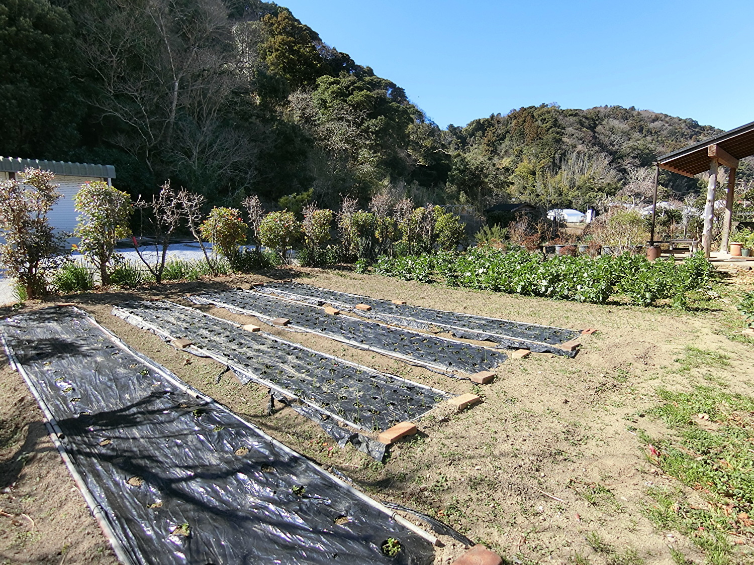 売家　安房郡鋸南町下佐久間　2SLDK他　1990万円 サムネイル画像2