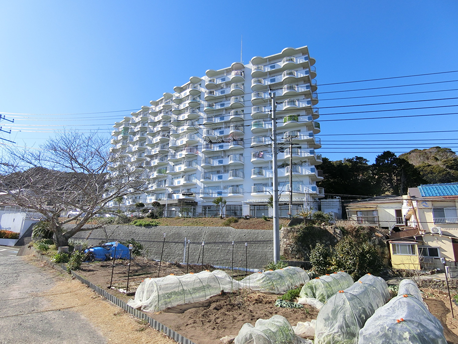 海望売リゾートマンション　鴨川市　1DK　320万円 サムネイル画像2