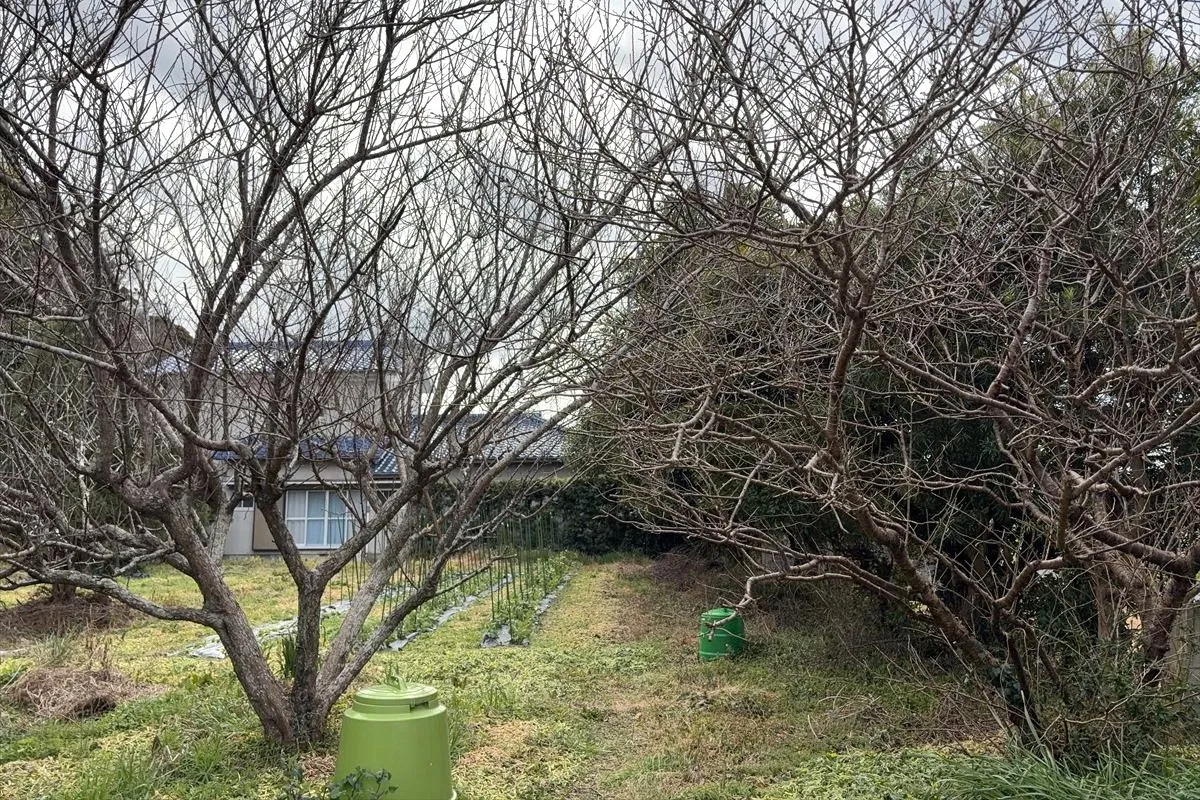 【自宅前の畑。季節の野菜が育つ】