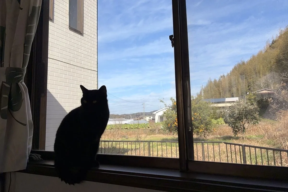 【リビングの窓から見える裏庭の風景】