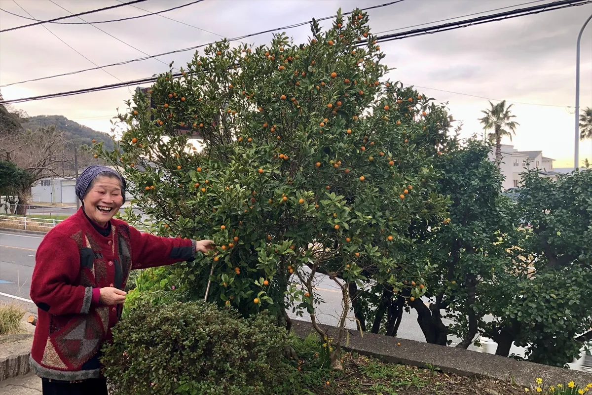 【金柑の木と正子さん】