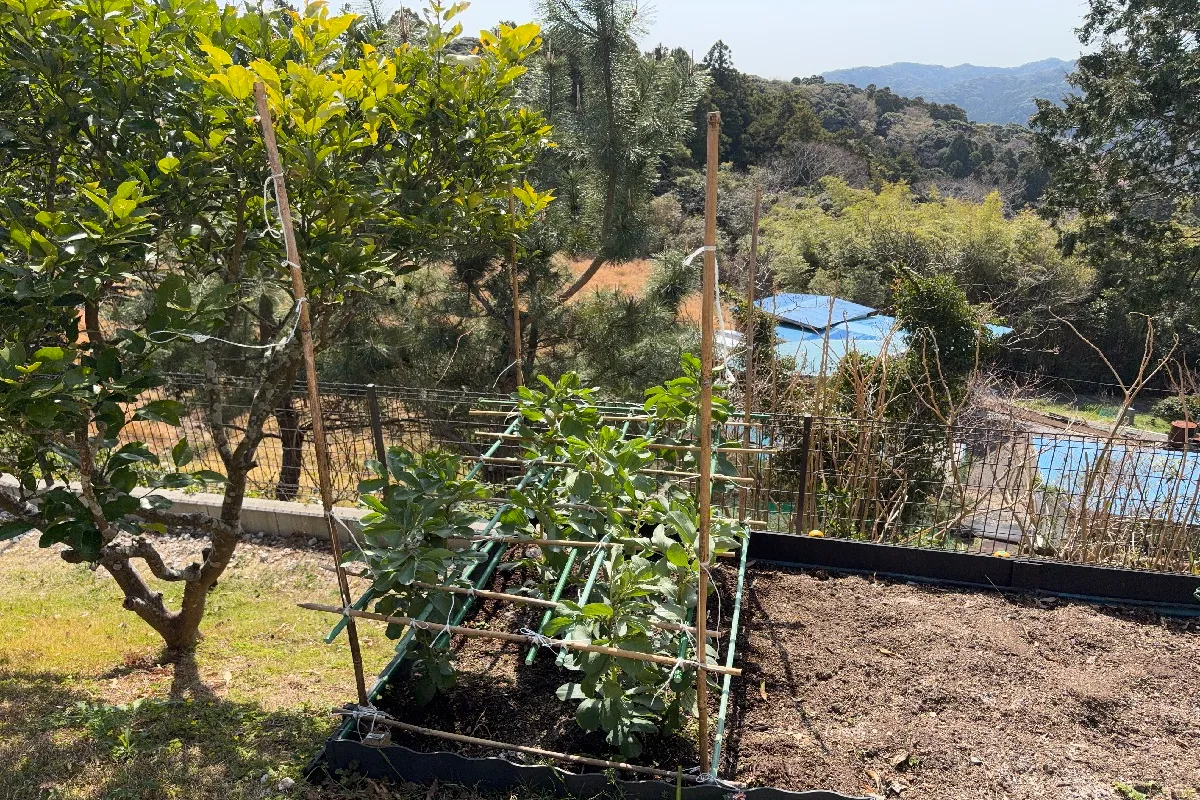 【庭の菜園。まだまだこれから広がります】