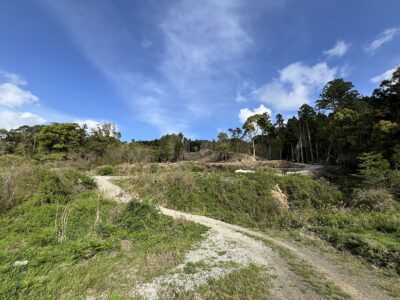 売山林 南房総市山田 10469㎡（3166.87坪） 950 サムネイル画像1