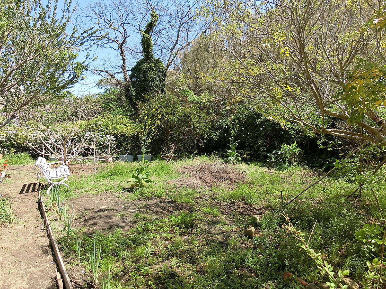 海浜売家　館山市加賀名　3SLDK　2360万円 サムネイル画像2