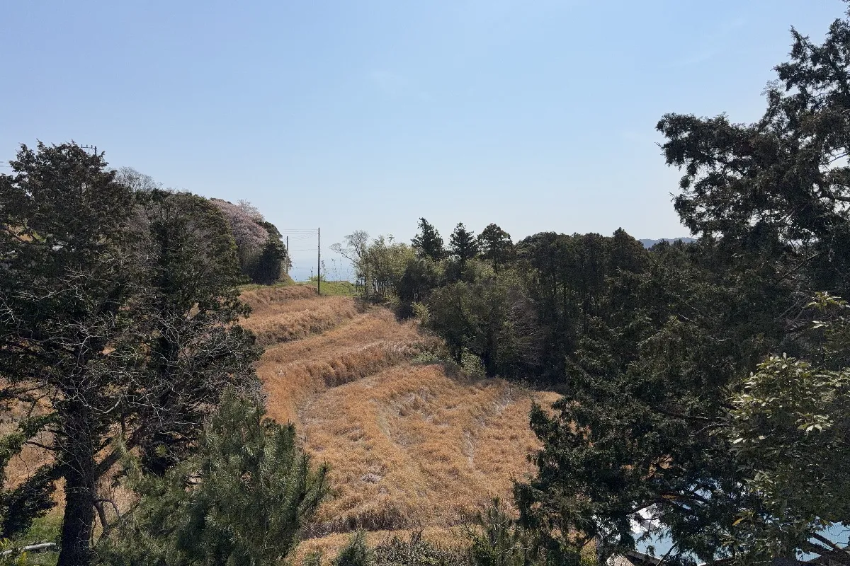 【棚田の向こうに海が望めます】