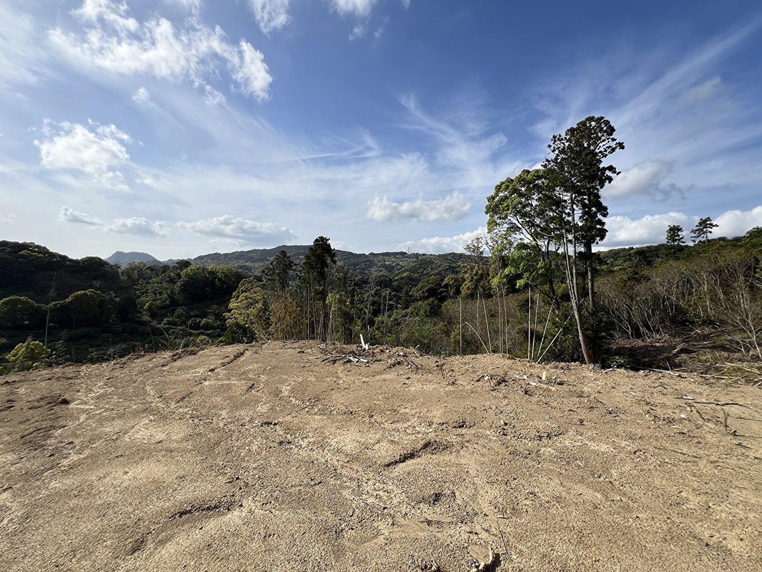 売山林　南房総市山田　10469㎡（3166.87坪）　950万円 サムネイル画像2