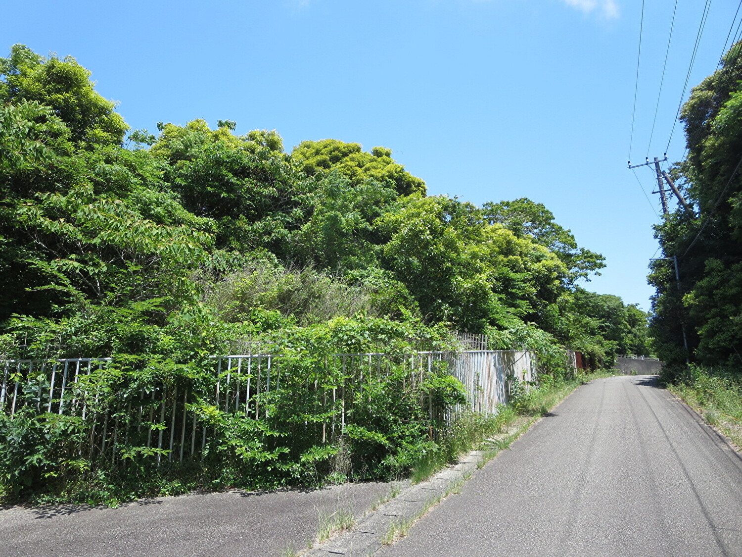 売山林　館山市犬石　50440.97㎡（15258.39坪）　7629万円 サムネイル画像2