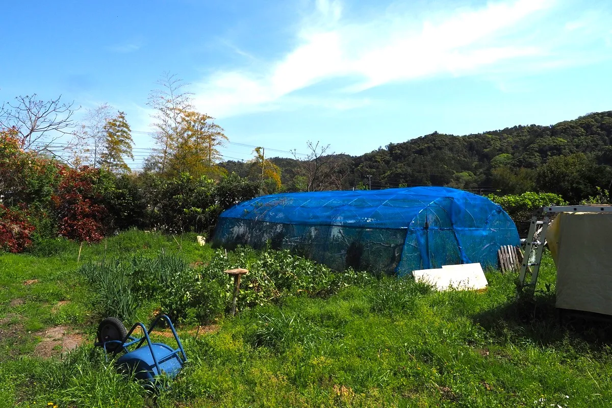 【果樹がたくさん植わっている、本格的な畑】