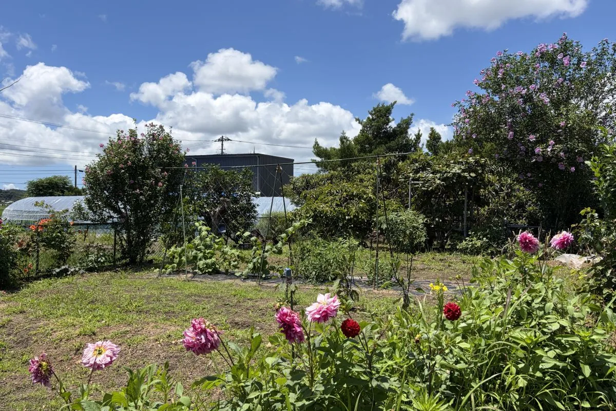 【花と野菜を育てられる庭は、移住先を探すうえで大切にしていた条件のひとつでした】