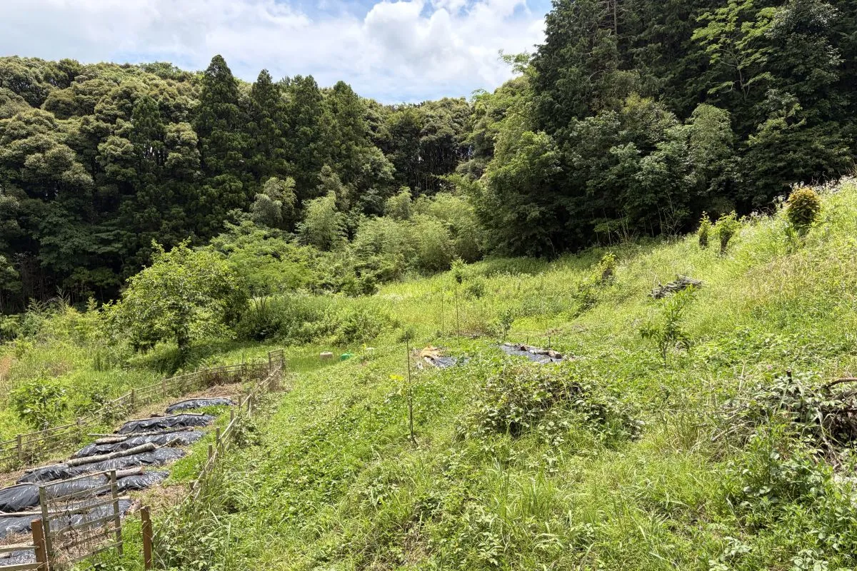 【里山が庭】