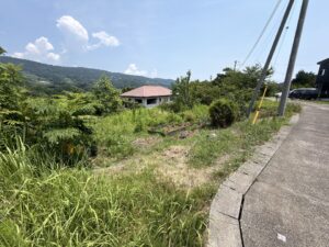 東側にある果樹用地