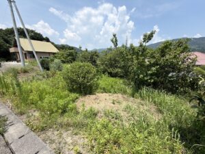 同じく果樹用地を別の角度から