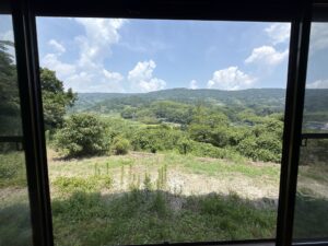 キッチン背後の窓からの景色