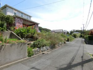 道路を北側から見た画像