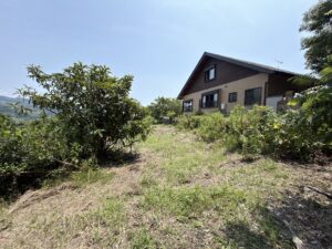 菜園用地のようす